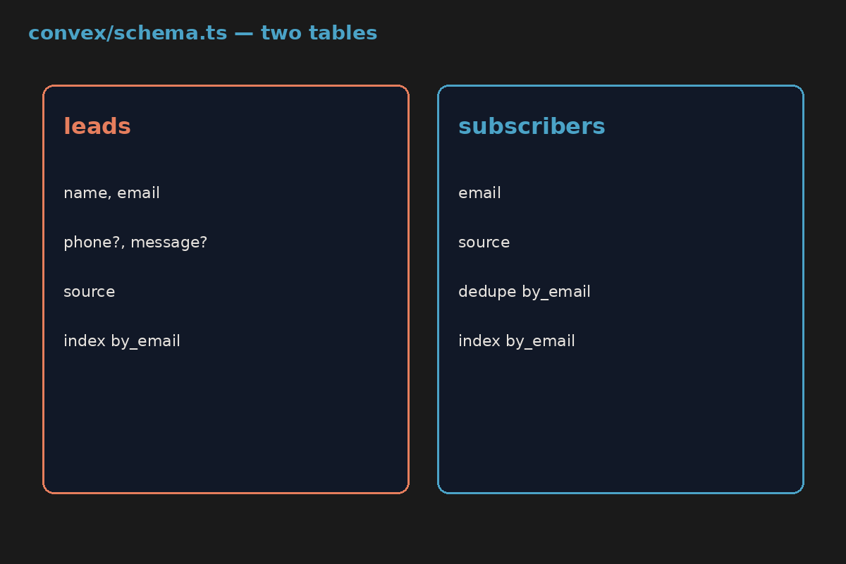 Convex schema: leads and subscribers